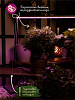 Светильник для растений Uniel P16 UL-00003957 100_100_2382046