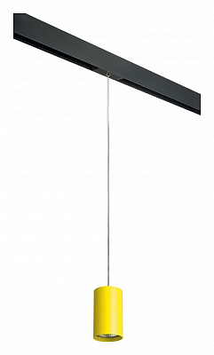 Подвесной светильник Lightstar Rullo PRORP433 400_400_2460363