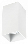 Накладной светильник Lightstar Rullo 216586 250_100_Array
