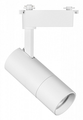 Светильник на штанге Lightstar Volta 229236 400_400_1715346