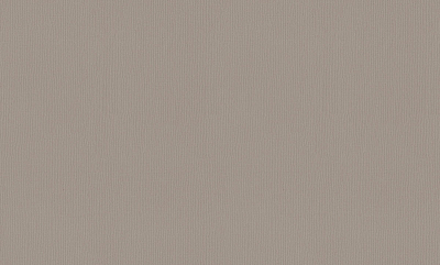A101107 Обои ARTSIMPLE (1*6) 10,00x1,06 винил на флизелине 400_400_2323757