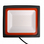 Настенно-потолочный прожектор Jazzway  PFL-SC-100W 6500K IP65 250_100_2870523