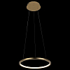 Подвесной светильник Loft it Ring 10014S 100_100_1845745