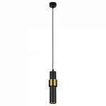 Подвесной светильник Arte Lamp Ran A3144SP-1BK 250_100_1823608