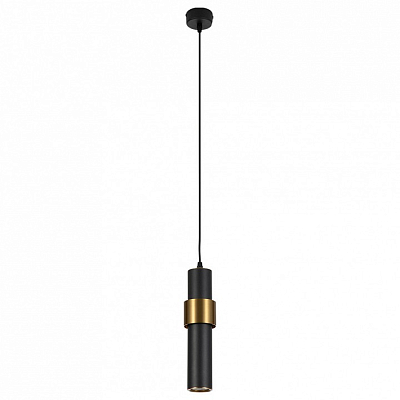 Подвесной светильник Arte Lamp Ran A3144SP-1BK 400_400_1823608