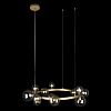 Подвесная люстра Loft it Molecule 10139/850 100_100_1847700