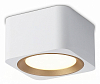 Накладной светильник Ambrella Light TN TN70831 100_100_2442400
