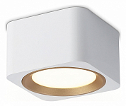 Накладной светильник Ambrella Light TN TN70831 250_100_Array