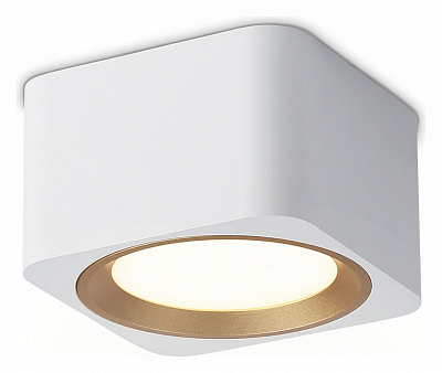 Накладной светильник Ambrella Light TN TN70831 400_400_2442400