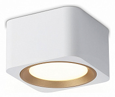 Накладной светильник Ambrella Light TN TN70831 500_191_2442400