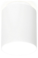 Накладной светильник Ambrella Light TN TN261 500_191_2442319