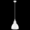 Подвесной светильник Lightstar Loft 865016 100_100_1712179