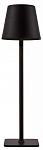 Настольная лампа декоративная F-promo Pyari 4615-1T 250_100_1923458