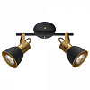Спот Arte Lamp Jovi A1677PL-2GO 100_100_1823548