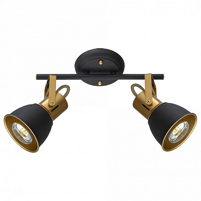 Спот Arte Lamp Jovi A1677PL-2GO 400_400_1823548