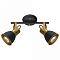 Спот Arte Lamp Jovi A1677PL-2GO