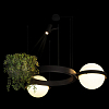 Подвесной светильник Loft it Jardin 10121/2 100_100_1852960