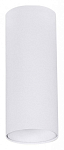 Накладной светильник Arte Lamp Net Mini A6450PL-1WH 250_100_Array