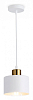 Подвесной светильник Ambrella Light TR TR8112 100_100_2015525
