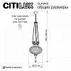 Подвесной светильник Citilux Каир CL419125 100_100_1695091