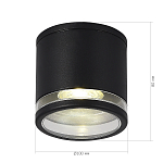 SL9009.402.01 Светильник уличный потолочный ST-Luce черный/белый GU10 1*50W TUBO 250_100_2950064