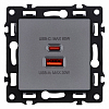 Розетка 2хUSB type A и C без рамки Kollinger Asthetik AS-024GY 100_100_3118741