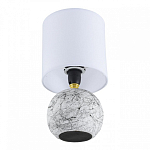 Настольная лампа декоративная Lumion VILANA 8166/1T 250_100_1867225