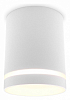 Накладной светильник Ambrella Light TN TN3202 100_100_2442324