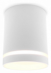 Накладной светильник Ambrella Light TN TN3202 250_100_Array
