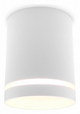 Накладной светильник Ambrella Light TN TN3202 400_400_2442324