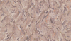 Обои Grandeco (Poeme) арт OM 1105 винил на флизелине, рулон 10,05х1,06 (1*6) 100_100_2326975