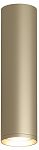Накладной светильник Denkirs TUBE DK2052-SG 250_100_1913657