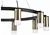 Подвесная люстра Lightstar Rullo LR0203101 100_100_1718669