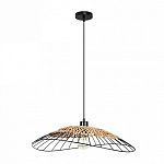 Подвесной светильник Arte Lamp Woodstock A7061SP-1BK 250_100_1826561