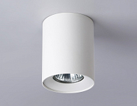 Накладной светильник Ambrella Light TN TN213136 250_100_2019119