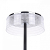 Настольная лампа декоративная Lumion Satiana 8203/1TL 100_100_1866498
