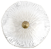 Накладной светильник Loft it Bloom 10352W/A AB 100_100_3229998