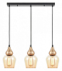 Подвесной светильник Vele Luce Simone VL5564P13 100_100_2466134