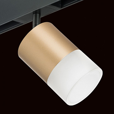 Светильник на штанге Lightstar Rullo PRO349081 400_400_1717942