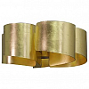 Подвесная люстра Lightstar Pittore 811152 100_100_2233027