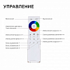 Контроллер-регулятор цвета RGBW с пультом ДУ Apeyron Electrics  04-48 100_100_2176235