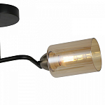 Светильник на штанге ILLUMICO Bice IL8148-2COU-79 BK BR Bice 250_100_2039377