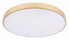 Накладной светильник Loft it Flims 10228/B 100_100_2710167