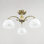 Люстра на штанге Citilux Франческа CL417133 250_100_1689831