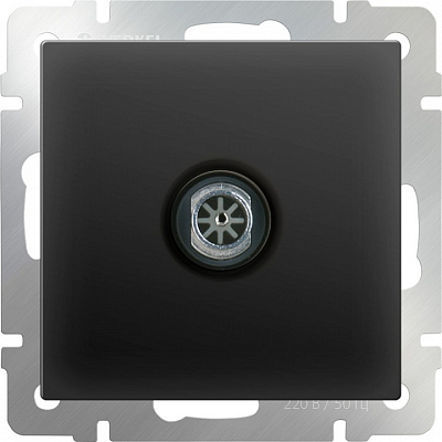 ТВ-розетка оконечная без рамки Werkel черный матовый W1183008 400_400_1881804