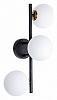 Бра Arte Lamp Gemini A2243PL-3BK 100_100_2250607
