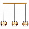 Подвесной светильник Ambrella Light TR TR3652 100_100_2453483