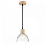 Подвесной светильник Lumion Natana 8055/1А 250_100_1865634