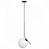Подвесной светильник Loft it Icl 2579-B 100_100_1846970