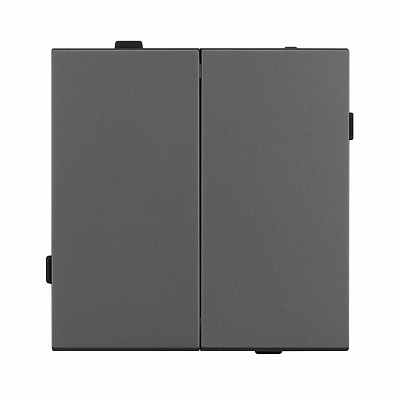 Выключатель двухклавишный без рамки Arlight SWT 054546 400_400_1603186